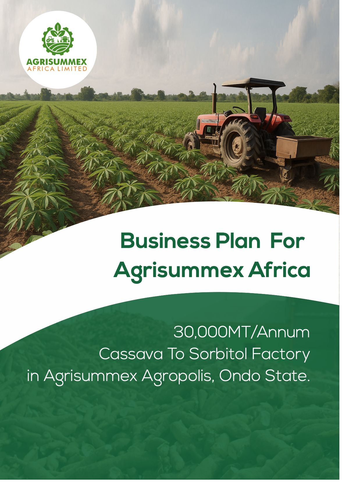 Agrisummex Business Plan Brochure